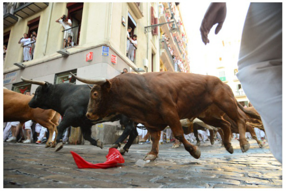 The bulls that day (Photo courtesy of www.sanfermin.com)